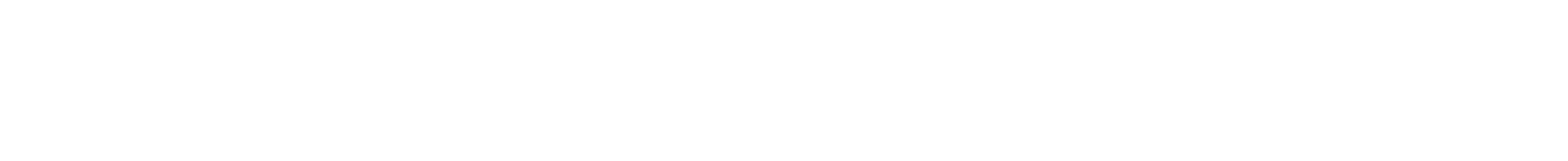Cruiserverse Logo